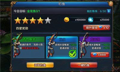 金龍魚品級劃分標準：如何快速區分金龍魚品牌