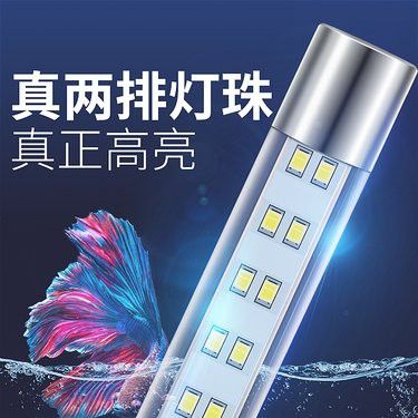 YEE龍魚燈有哪些型號可選？ YEE龍魚燈有哪些型號可選？ 龍魚百科 第1張