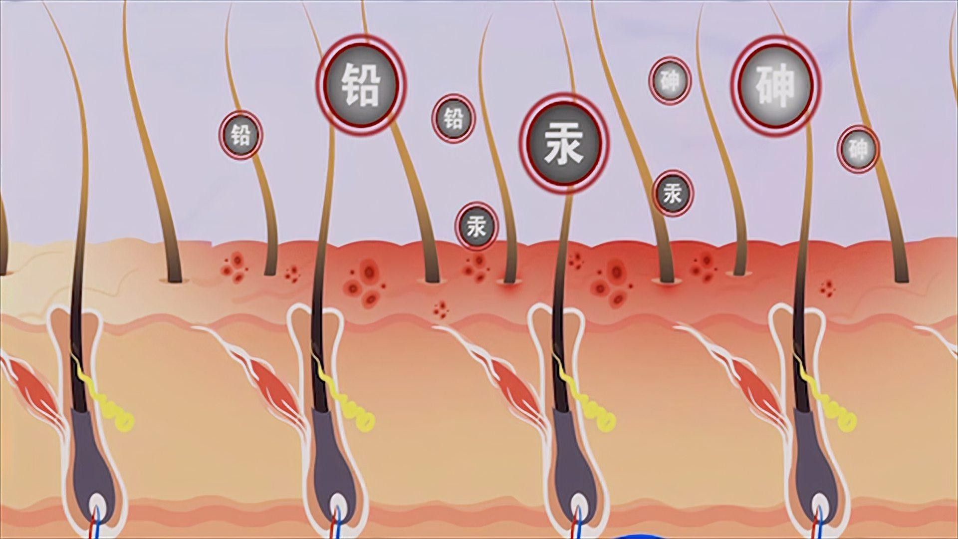 紅龍染發(fā)劑有哪些副作用？