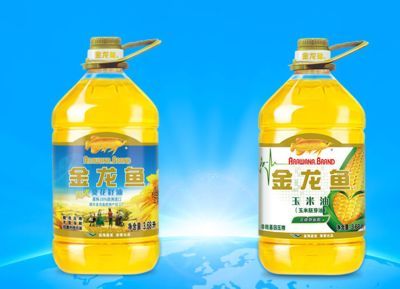 金龍魚營養（金龍魚是一種常見的淡水魚類，其營養價值豐富，對人體健康有好處）
