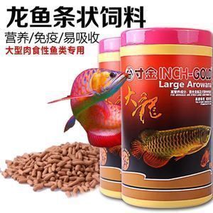 龍魚喂飼料好嗎？：關于龍魚喂飼料的一些詳細信息