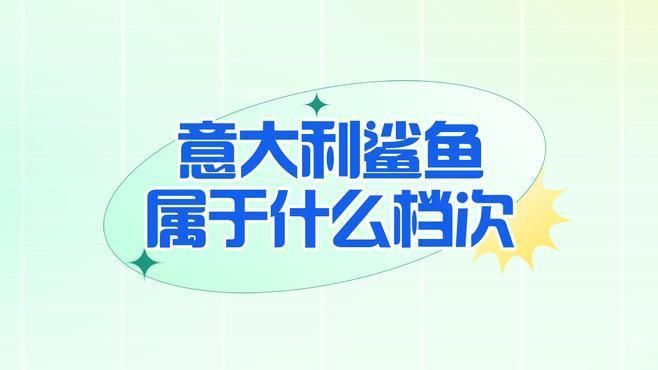 哪個鯊魚牌子檔次最高