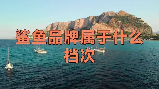 哪個鯊魚牌子檔次最高