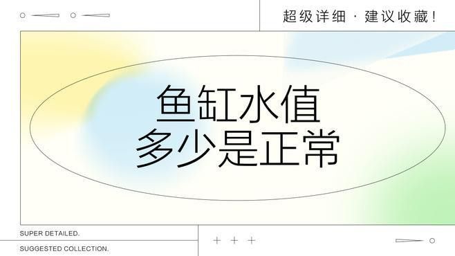 如何檢測魚缸水質是否合適？