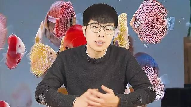 如何檢測魚缸水質是否合適？