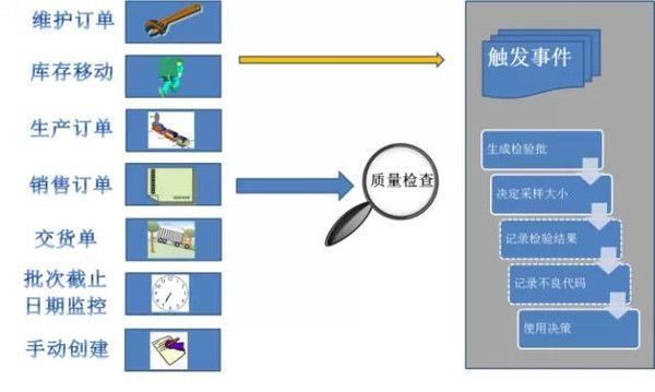 金龍魚可以和其他魚一起養嗎：金龍魚和其他魚混養好不好？全面解析混養的利與弊