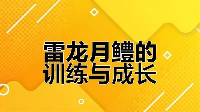 月鱧雷龍魚用多大的缸 月鱧雷龍魚用多大的缸 龍魚百科 第1張