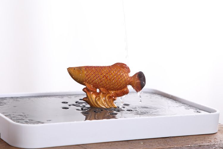 金龍魚養多大才能變色