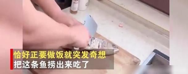 金龍魚內(nèi)蒙眼怎么治：金龍魚蒙眼怎么辦