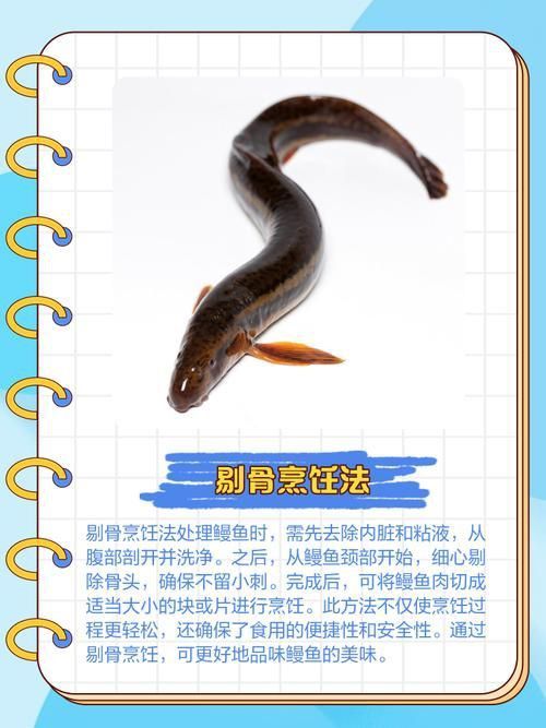 鰻魚去刺圖解 鰻魚去刺圖解 龍魚百科 第2張