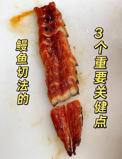 鰻魚去刺圖解 鰻魚去刺圖解 龍魚百科 第7張