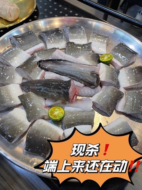 鰻魚去刺圖解 鰻魚去刺圖解 龍魚百科 第15張
