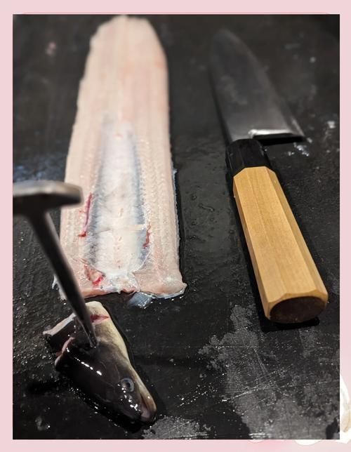 鰻魚去刺圖解 鰻魚去刺圖解 龍魚百科 第25張
