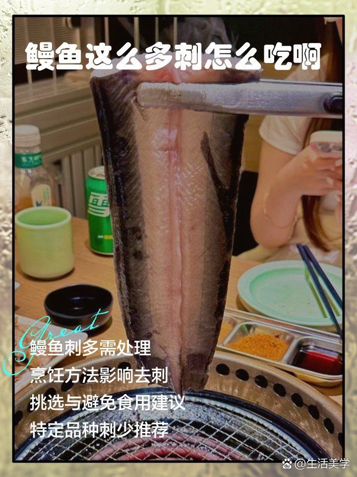鰻魚去刺圖解 鰻魚去刺圖解 龍魚百科 第28張