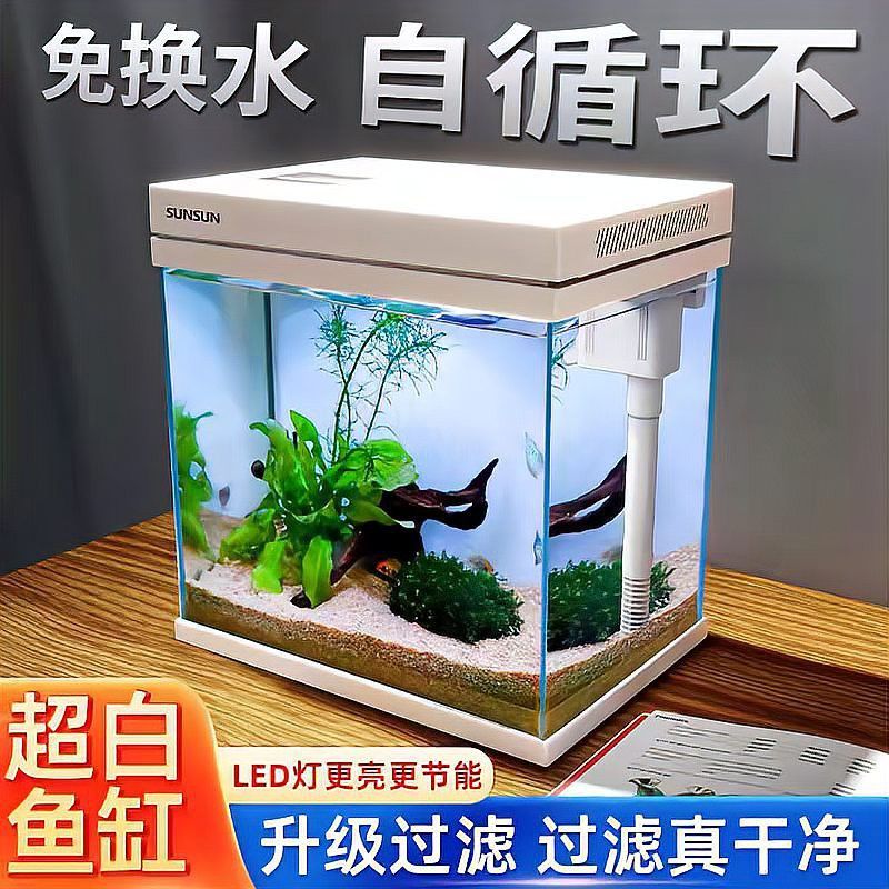 血紅龍魚缸需要多大的過濾器？ 血紅龍魚缸需要多大的過濾器？ 龍魚百科 第1張