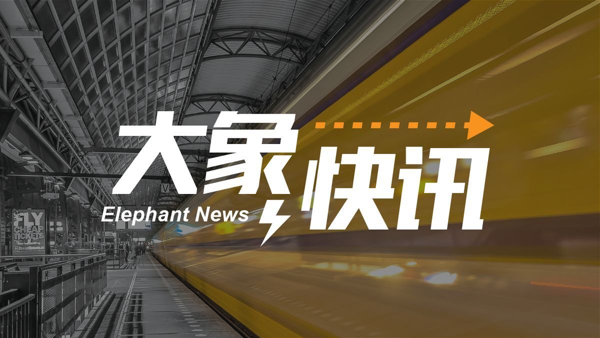 2025年金龍魚市場趨勢如何？ 2025年金龍魚市場趨勢如何？ 龍魚百科 第4張