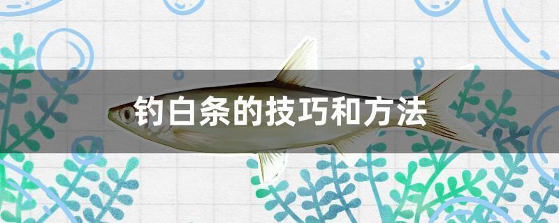 胭脂孔雀龍魚過背過程圖片：胭脂孔雀龍魚混養(yǎng)成功案例分析胭脂孔雀龍魚混養(yǎng)成功案例