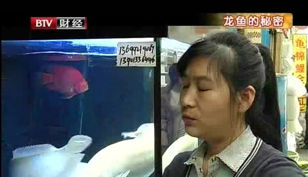 金龍怎么看是不是過背