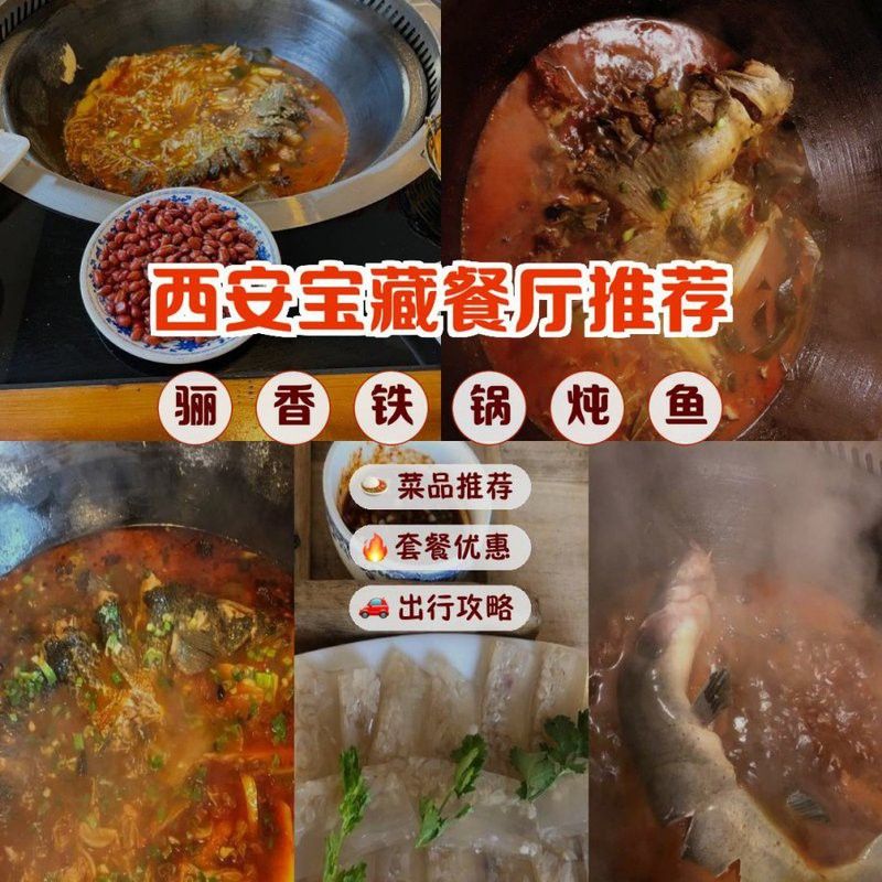 藏龍魚和黑魚哪個貴