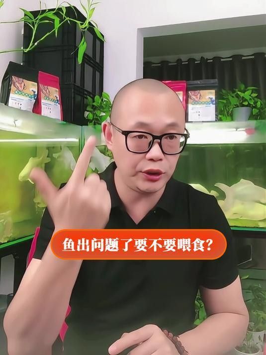 金龍魚恢復期間需要喂食嗎？