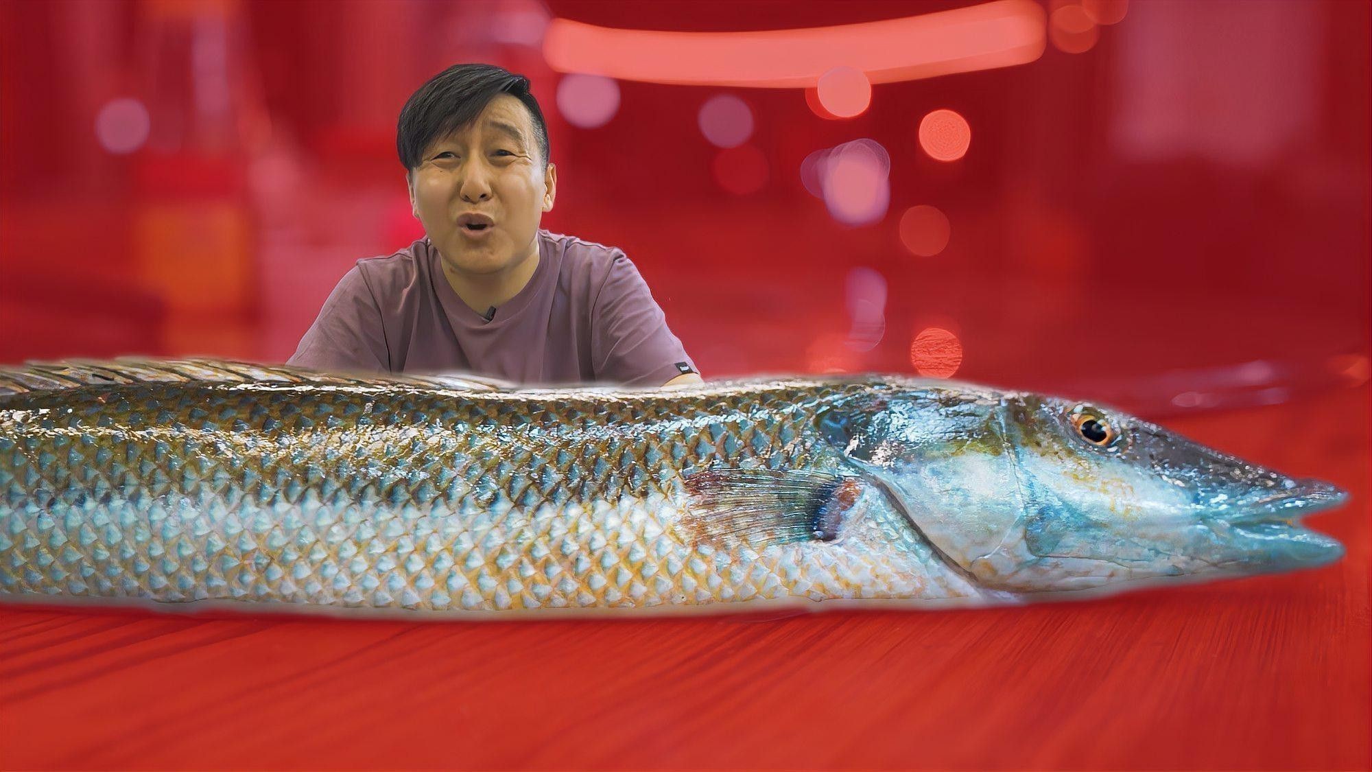 海南野生過山龍魚能吃嗎圖片大全