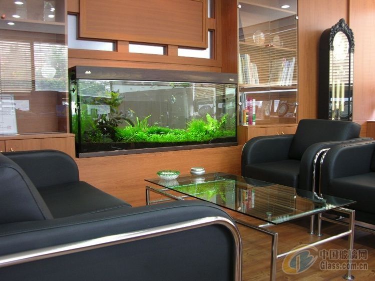 龍魚的飼養溫度要求多少度：龍魚的飼養溫度要求