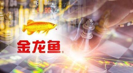 金龍魚算國企嘛：金龍魚產品線全面解析金龍魚產品線全面解析