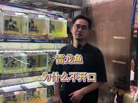 彩虹雷龍魚怎么養？彩虹雷龍魚飼養方法