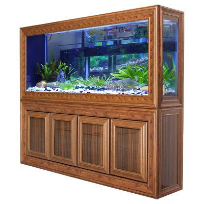 龍魚缸的最佳尺寸多少水：選擇龍魚缸最佳尺寸和水位的詳細信息，龍魚缸最佳尺寸和水位對比