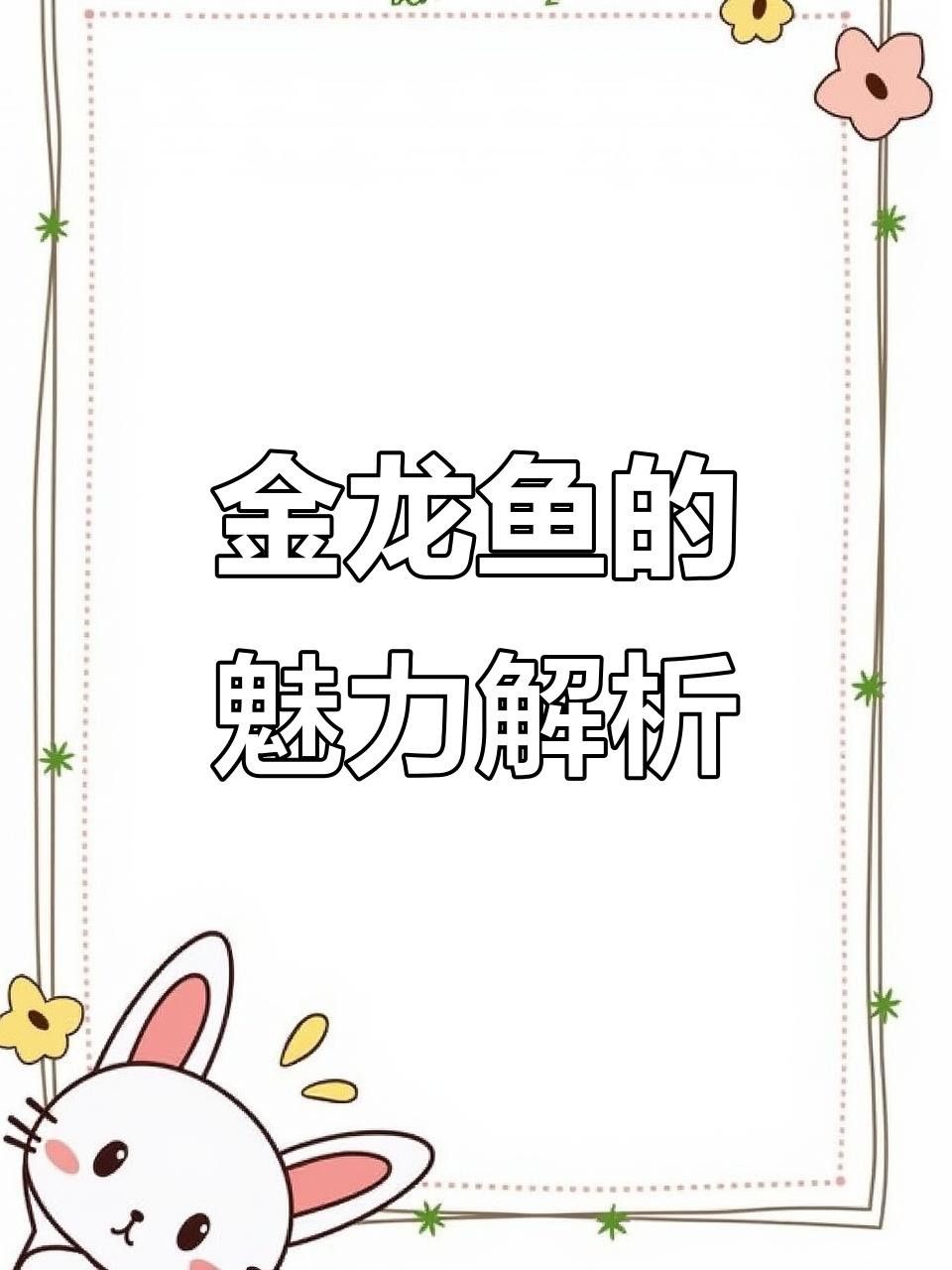 藍底過背金龍有哪些品種？