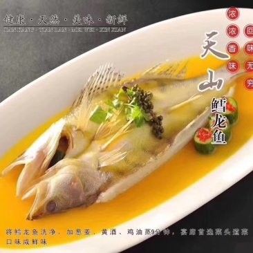 雪龍魚價格多少錢一條