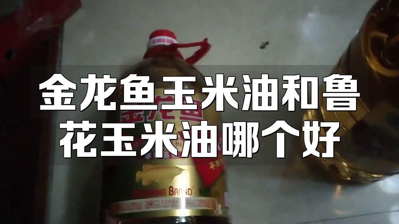金龍魚純正玉米油和玉米油哪個好
