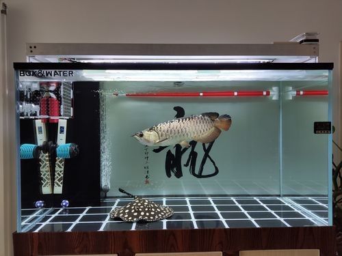 雷龍和龍魚虎魚混養(yǎng)嗎圖片