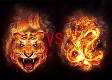 雷龍和龍魚虎魚混養(yǎng)嗎圖片