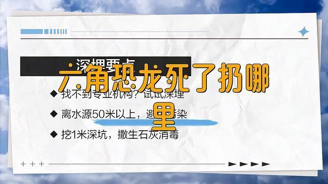 如何聯系專業機構處理六角龍？