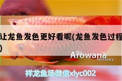 如何讓龍魚發色更好看一點呢（如何提高龍魚的發色效果）
