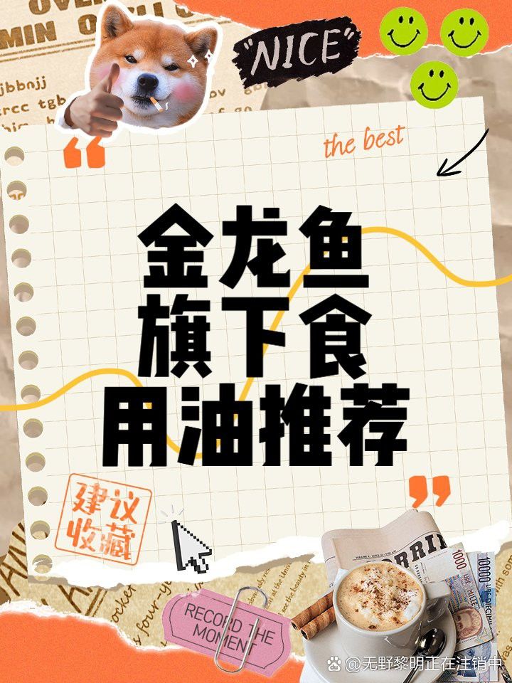金龍魚收藏市場有哪些知名品牌？ 金龍魚收藏市場有哪些知名品牌？ 龍魚百科 第8張