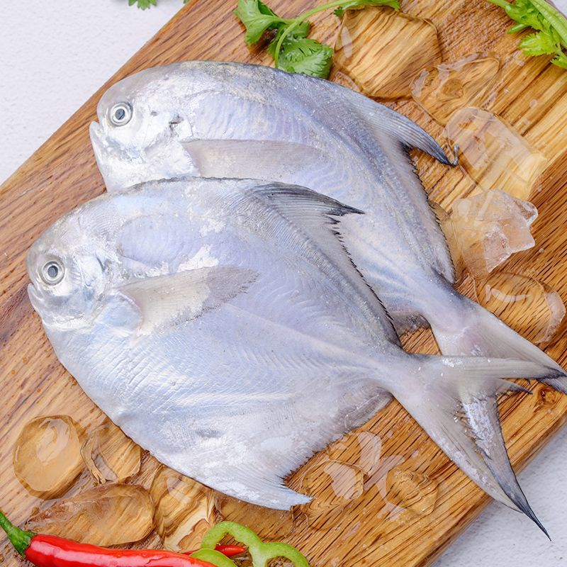 鯧魚和龍魚混養好嗎：關于龍魚和龍魚混養的問題