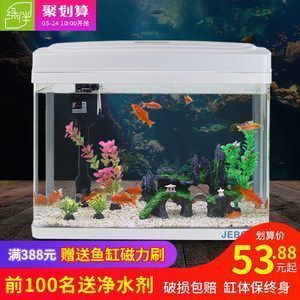 龍魚趴在缸底:龍魚為什么會趴缸 龍魚百科 第2張 龍魚趴在缸底:龍魚為什么會趴缸 龍魚趴在缸底:龍魚為什么會趴缸 龍魚百科 第2張