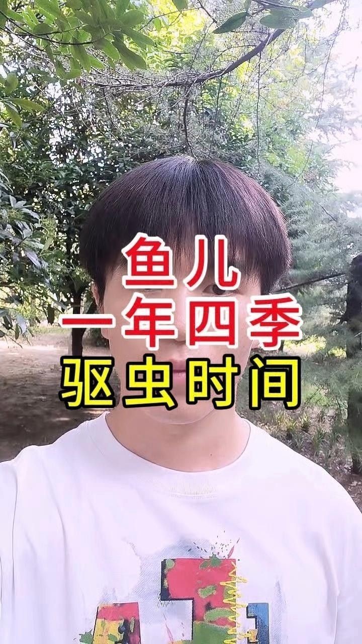 龍魚多久驅(qū)一次蟲？ 龍魚多久驅(qū)一次蟲？ 龍魚百科 第1張