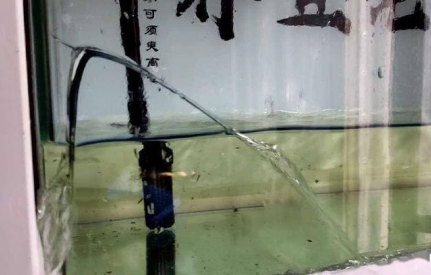 魚缸能用多少年更換（如何維護延長魚缸使用壽命）