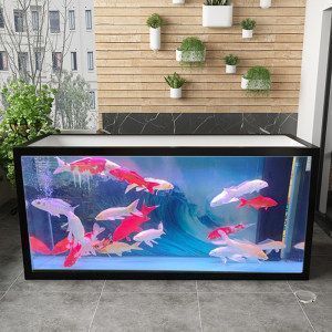 魚缸能用多少年更換（如何維護延長魚缸使用壽命）