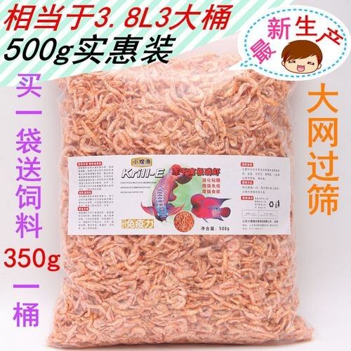 銀龍魚喂什么小魚好看