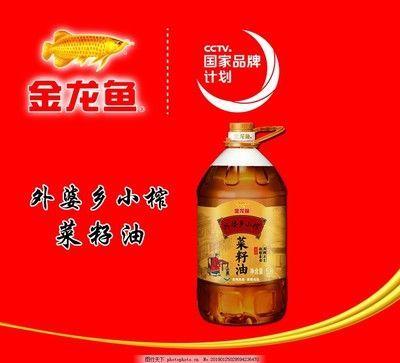 好的金龍魚圖片高清，金龍魚飼養技巧，金龍魚品種介紹