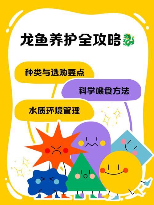金龍魚買回家怎么開口 金龍魚買回家怎么開口 龍魚百科 第4張