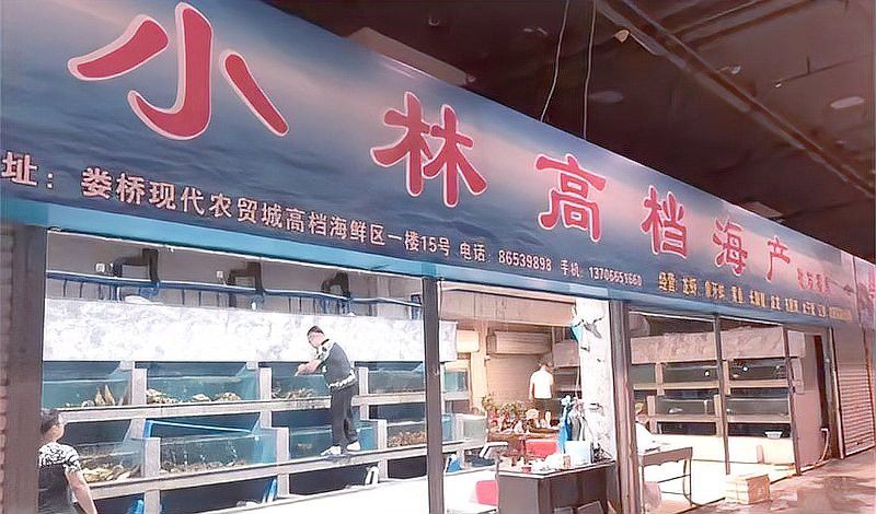 溫州龍魚哪里賣的好啊圖片