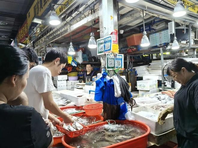 溫州龍魚哪里賣的好啊圖片