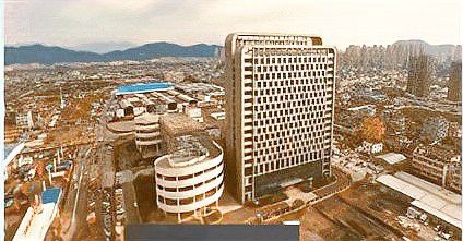 溫州龍魚哪里賣的好啊圖片