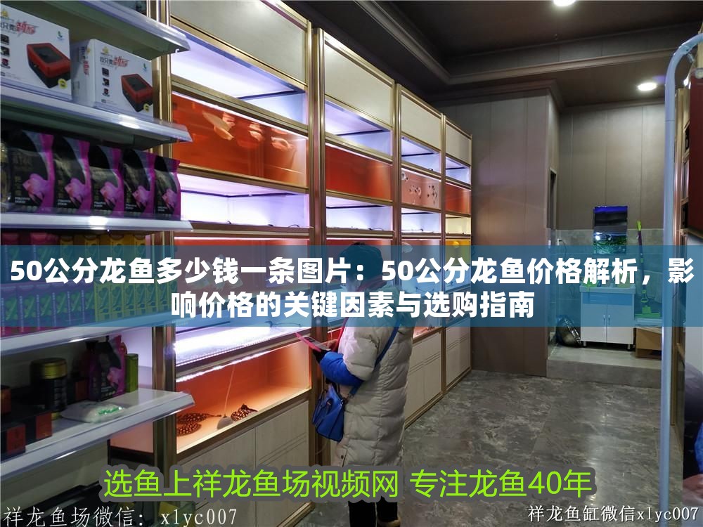 50公分龍魚多少錢一條圖片：50公分龍魚價格解析，影響價格的關(guān)鍵因素與選購指南