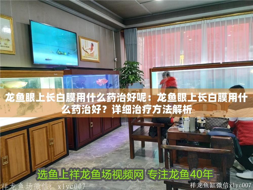 龍魚眼上長(zhǎng)白膜用什么藥治好呢：龍魚眼上長(zhǎng)白膜用什么藥治好？詳細(xì)治療方法解析